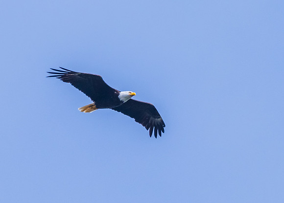 Deception Pass SP-_MAK7609