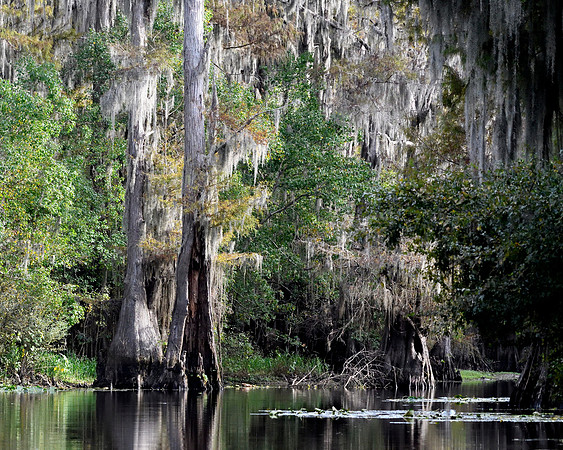 Caddo2016_LAK3268c