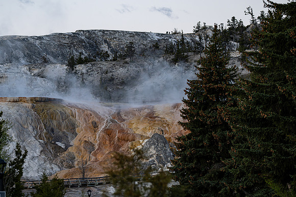 Yellowstone _MAK2270-Enhanced-NR
