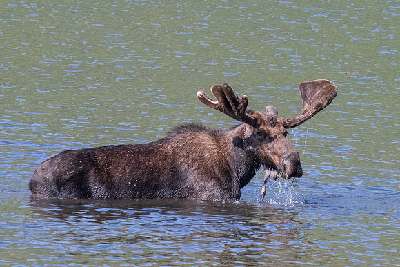 Rocky Mountain NP _MAK7129