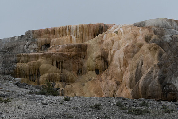 yellowstonetc-7523
