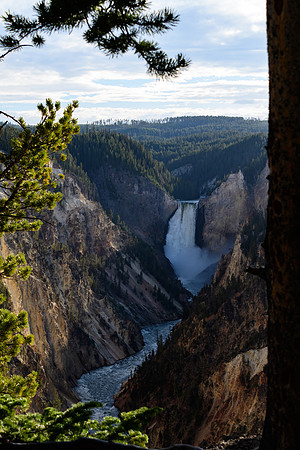 yellowstonetc-7016