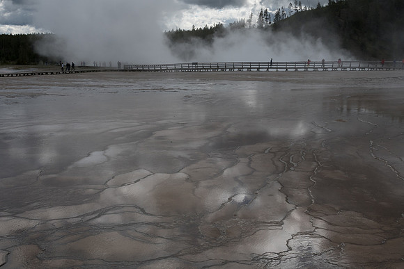 yellowstonetc-7186