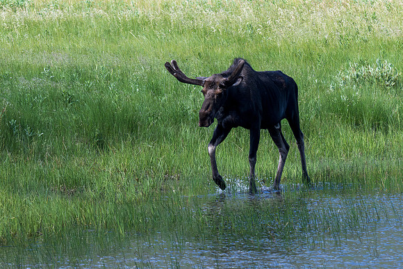 Rocky Mountain NP _MAK7067-Enhanced-NR