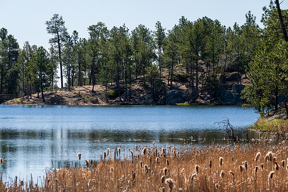 Custer State Park-9261