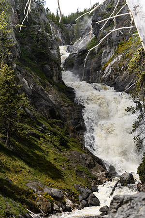 yellowstonetc-7391