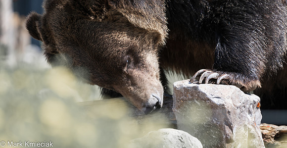 West Yellowstone-_MAK1135