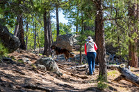 Custer State Park-9290