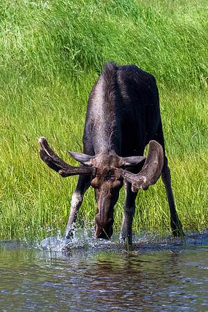 Rocky Mountain NP _MAK7082