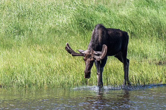 Rocky Mountain NP _MAK7080