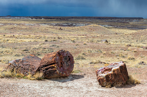 Petrified Forest-MAK_6350