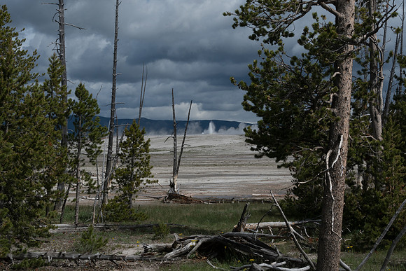 yellowstonetc-7258