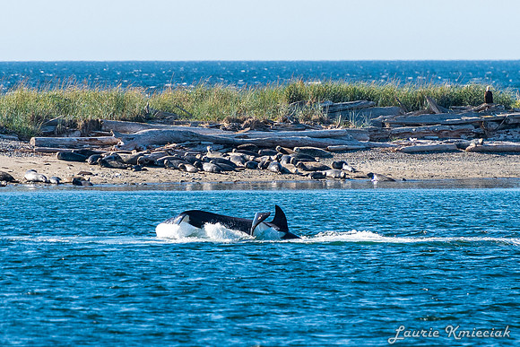 Nwhidby-LAK_5600