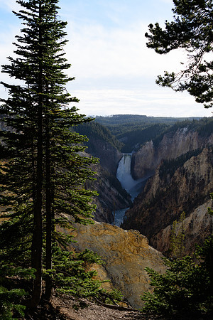 yellowstonetc-6998