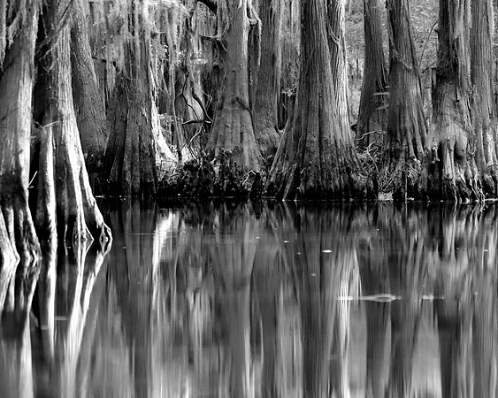 Caddo2016_LAK3273c