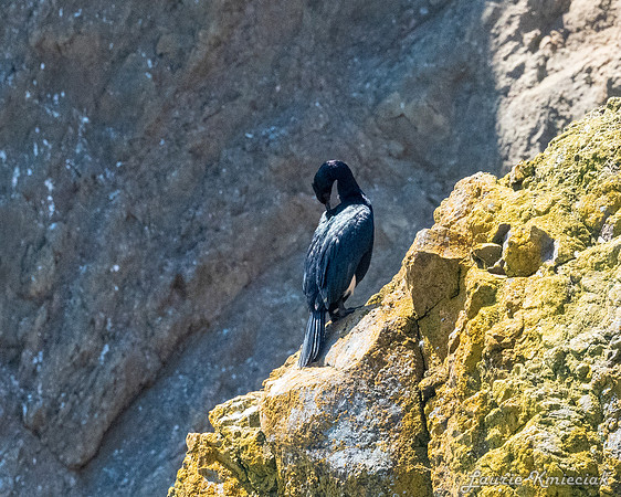 Cannon-Beach-LAK_1515
