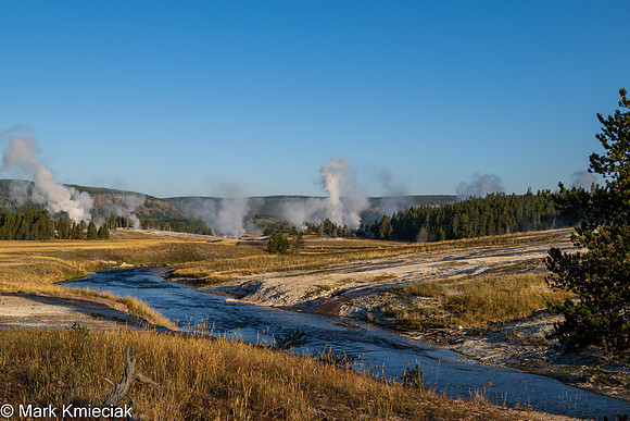 Yellowstone NP-_MAK1515