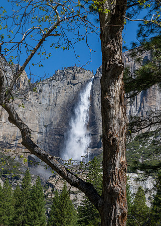 Yosemite-_MAK3820