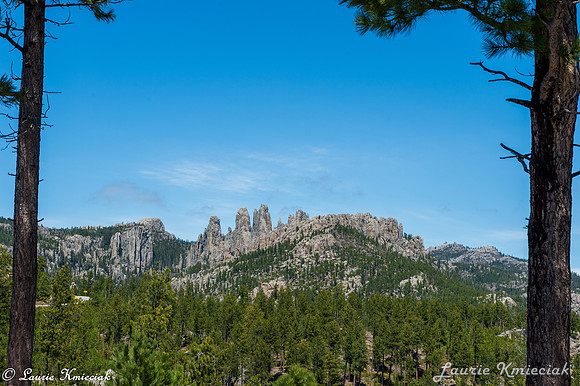 Black-Hills-MAK_8313