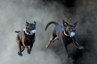 Baily-MAK_4197-2-Edit-2