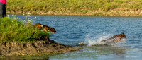 Experimental-MAK_1030-Pano
