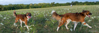 Experimental-MAK_0948-Pano