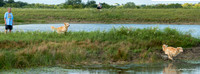 Experimental-MAK_1105-Pano