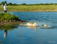 Experimental-MAK_1052-Pano