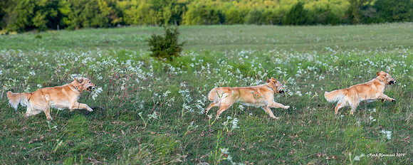 Experimental-MAK_0933-Pano