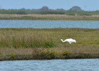Aransas-MAK_3228c