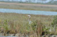 Aransas-MAK_3232