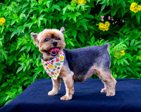 Retama pets 2025DSC_0012