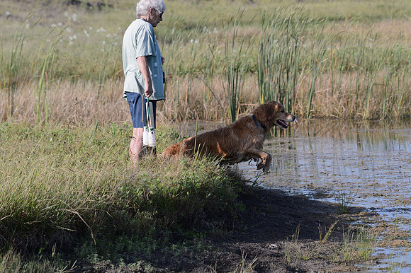 Waterdogs MAK_9298