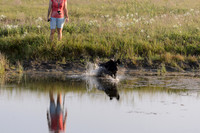 Waterdogs MAK_9069