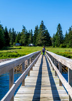 Bar Harbor Acadia NP-DSC_2780