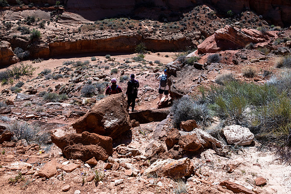 Wind Pebble Canyon -_MAK0691