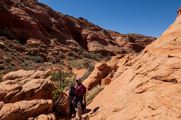 Wind Pebble Canyon -_MAK0714
