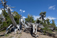 Crater Lake