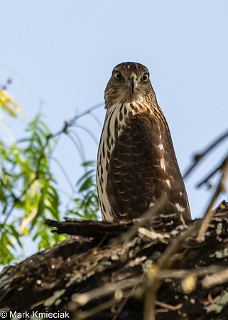 Bentsen-Rio Grande SP-DSC_7461