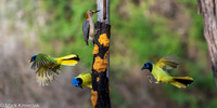 Bentsen-Rio Grande SP-DSC_7225
