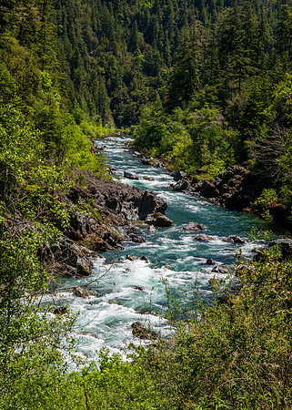 Jedediah Smith Redwoods-_MAK5730-HDR