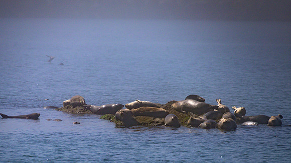 FM Crescent city-_MAK5411