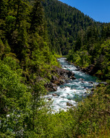 Jedediah Smith Redwoods-_MAK5726