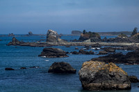 FM Crescent city-_MAK5505