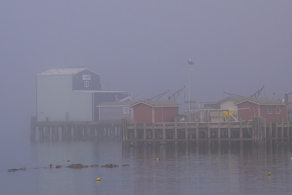 FM Crescent city-_MAK5383