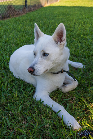 Retama Village dog park _MAK6885