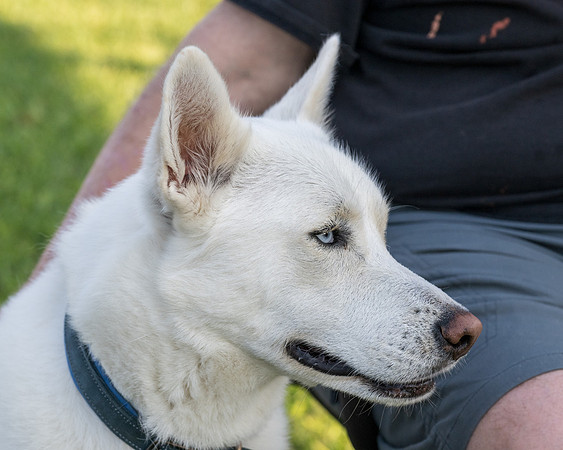 Retama Village dog park _MAK6874