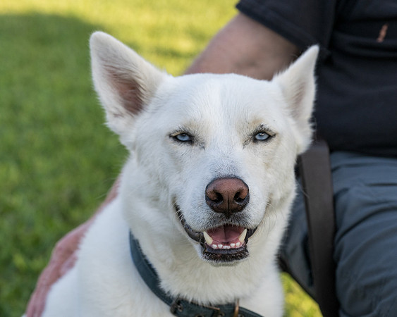 Retama Village dog park _MAK6875