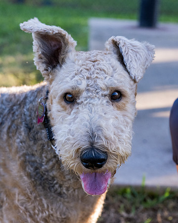 Retama Village dog park _MAK6935