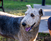 Retama Village dog park _MAK6939